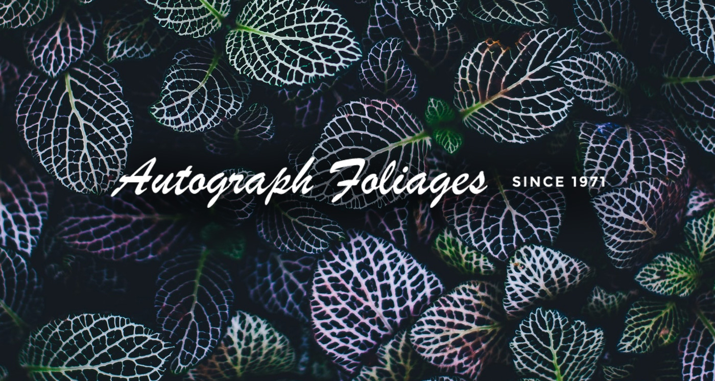 AUTOGRAPH FOLIAGES