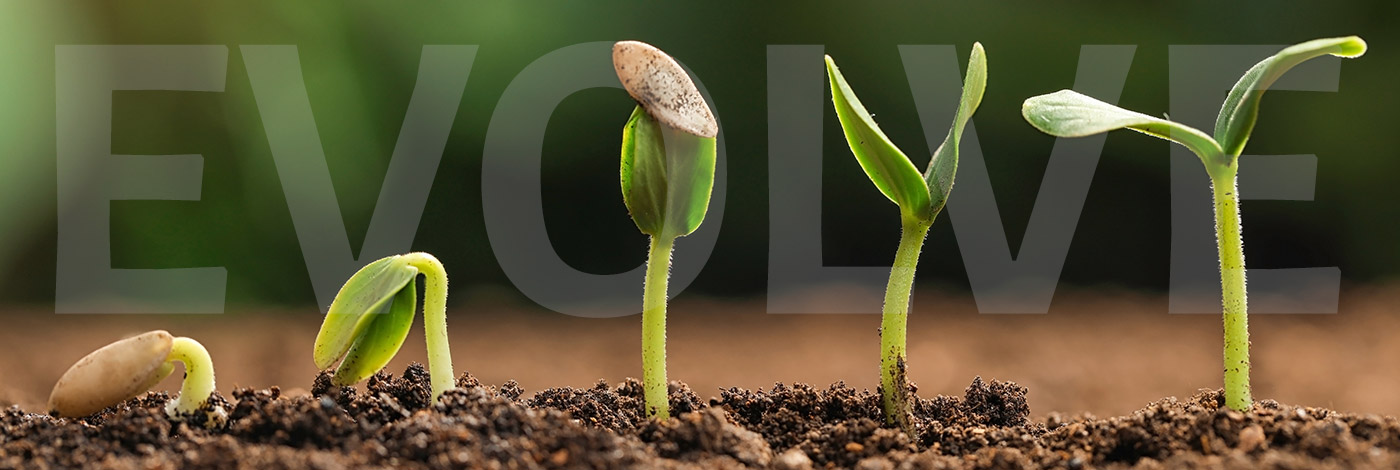 blog-evolve-header